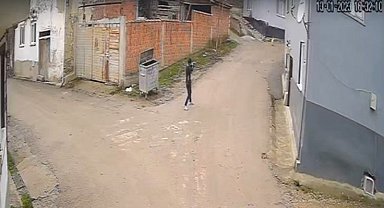Bursa'da vahşet: Av tüfeği ile köpeği öldürdü