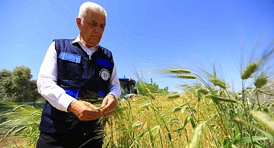 Büyükşehir'den tarım ve hayvancılığa destek