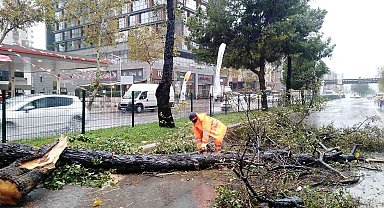 Büyükşehirin fırtına mesaisi