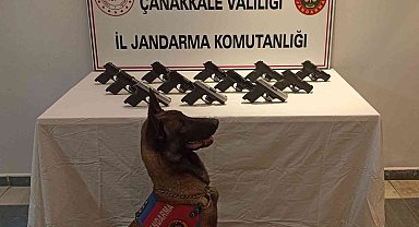 Çanakkale'de 12 adet ruhsatsız tabanca ele geçirildi