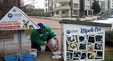Canik Belediyesi can dostları yalnız bırakmıyor