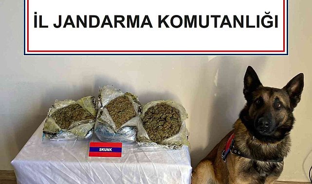 Çantalarında uyuşturucu taşıyan şüpheliler dedektör köpeğe takıldı