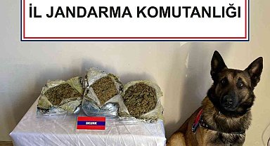 Çantalarında uyuşturucu taşıyan şüpheliler dedektör köpeğe takıldı