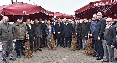 Çiftçilere 2 bin 500 kestane fidanı dağıtıldı