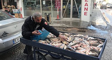 Çoruh Balığı tezgahta yerini aldı