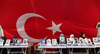 Diyarbakır annesi Nilifırka'dan evladına 'teslim ol' çağrısı