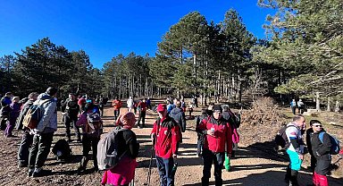 Doğaseverler ormanda 20 kilometre yürüdü