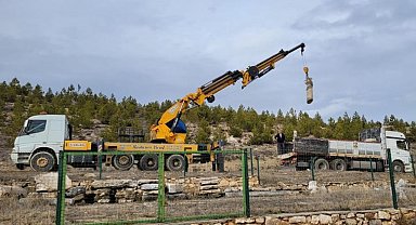 DPÜ Müzesi'nin için açılışı için gün sayılıyor