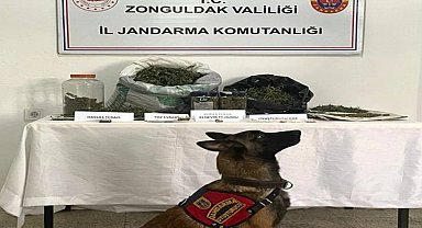 Ereğli'de uyuşturucu operasyonu:1 gözaltı