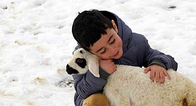 Erzincan'da 2023 yılının ilk kuzuları dünyaya geldi