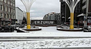 Erzurum güne karla uyandı