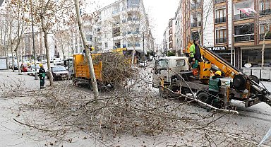 Esenyurt'ta ağaçlar kışa hazırlanıyor