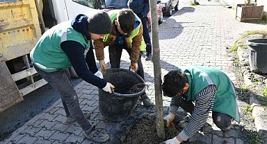 Esenyurt'ta sorunlar yeşillendirmeyle çözülüyor