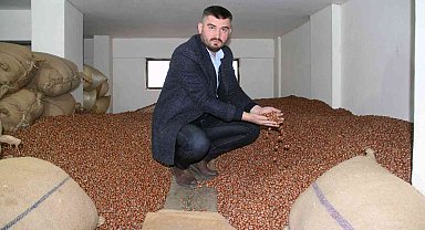 Fındık, fiyat istikrarını sürdürüyor