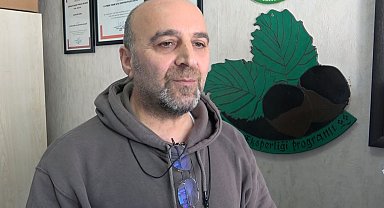 Fındıkta verim ve kaliteyi düşüren yanlış uygulamalar