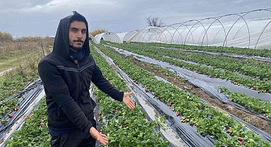 Fırtına sonrası geldiği serasını yerinde bulamadı