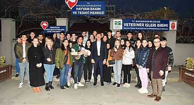 Genç hayvanseverlerden kedi düşmanına tepki