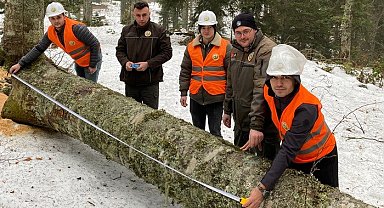 Gölyaka'da orman üretim bölmeleri kontrol edildi