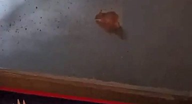 Günlük simit ve poğaça satışı yapılan arabada mide bulandıran görüntü