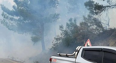 Hatay'da çıkan orman yangını kontrol altına alındı