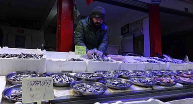 Hava muhalefeti balıkçıları olumsuz etkiledi