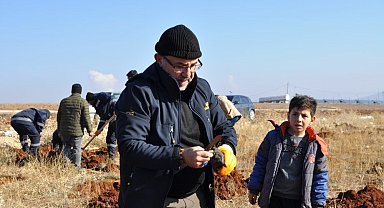 Hedef arıcılıkta verimi artırmak: Lavanta tarlasına bin adet alıç fidanı dikildi