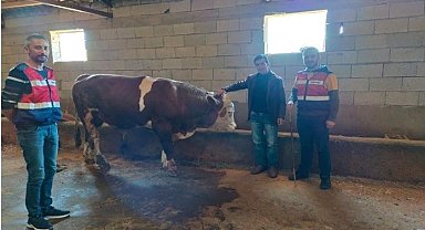 Iğdır JASAT'tan büyük başarı: 111 olay aydınlatıldı