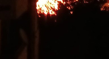 İskenderun'da ağaçlık alanda çıkan yangın paniğe neden oldu