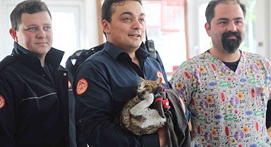 İtfaiye ekipleri kurtardıkları kediyi sahiplendi