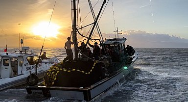 İzmir Körfezi'nde kaçak avcı operasyonu: Balıkçı teknesi kaçtı, ekipler kovaladı