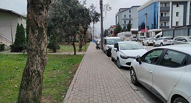 İzmit'te köpeğe şiddet uygulayan 2 şahıs yakalandı