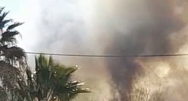 İznik'te sazlık alanda korkutan yangın