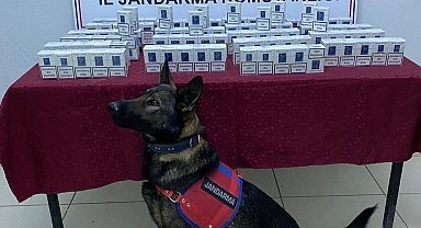 Jandarma kaçak sigara ele geçirdi