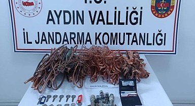 Jandarma şüphesinde haklı çıktı, hırsızları yakaladı