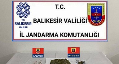 Jandarmadan 6 şahsa uyuşturucu operasyonu