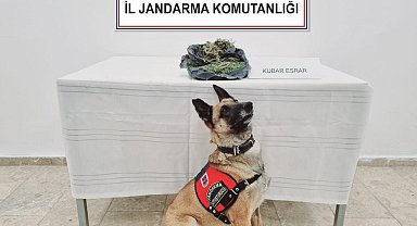 Jandarmadan uyuşturucuya geçit yok