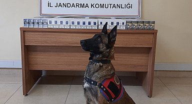 Kahramanmaraş'ta kaçakçılıkla mücadele