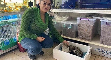 Kaldığı yerin tadilatı yüzünden dışarıda kalan kedi, 3 yavrusuyla esnafa sığındı