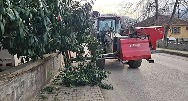 Kaldırımı kapatan ağaçlara budama