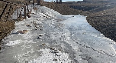 Kar yağmayan kentte don etkili oluyor