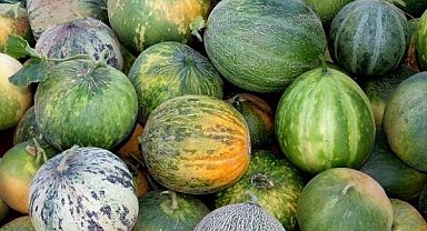 Karahallı Düğleği tescil aldı