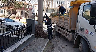 Karesi Belediyesi'nden ağaçlara kış bakımı