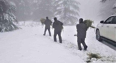 Karla kaplı Spil Dağında yaban hayatı unutulmadı
