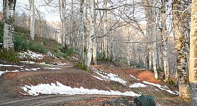 Kartepe'ye yeni mesire alanı