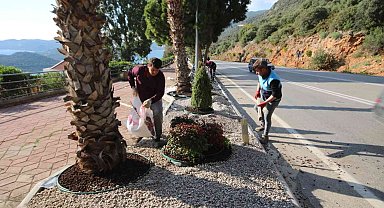 Kaş'ta peyzaj çalışmalarında 4 bin 625 bitki dikildi