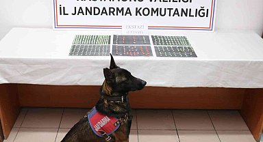 Kastamonu'da yüzlerce extacy hap ele geçirildi: 1 gözaltı