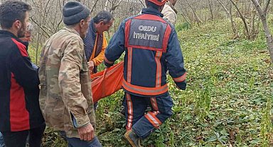 Kestikleri ağacın altında kaldılar