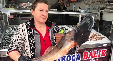 Kilosu 250 liradan tezgahta yerini aldı