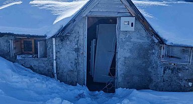 Kış uykusuna yatmayan ayı yayla evlerine dadandı