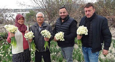 Kışta baharı yaşatan nergis çiçekleri 150 liradan 50 liraya düştü